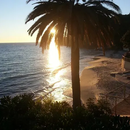 Adriandre Rayol-Canadel-sur-Mer