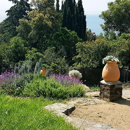 Adriandre * Rayol-Canadel-sur-Mer