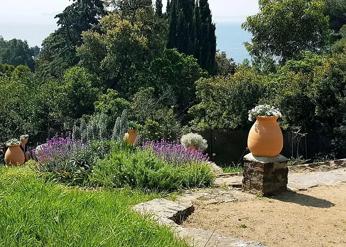 Adriandre * Le Rayol-Canadel-sur-Mer