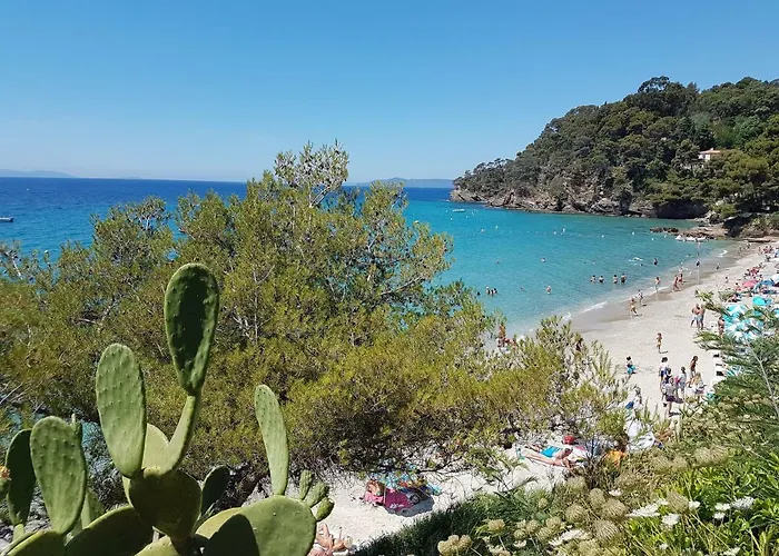 Adriandre * Le Rayol-Canadel-sur-Mer